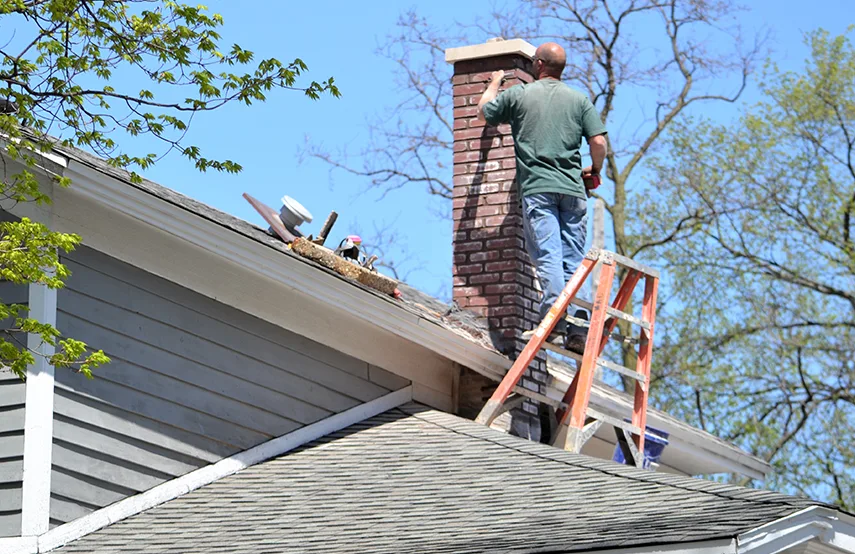 Chimney & Fireplace Inspections Services in Granite City, IL